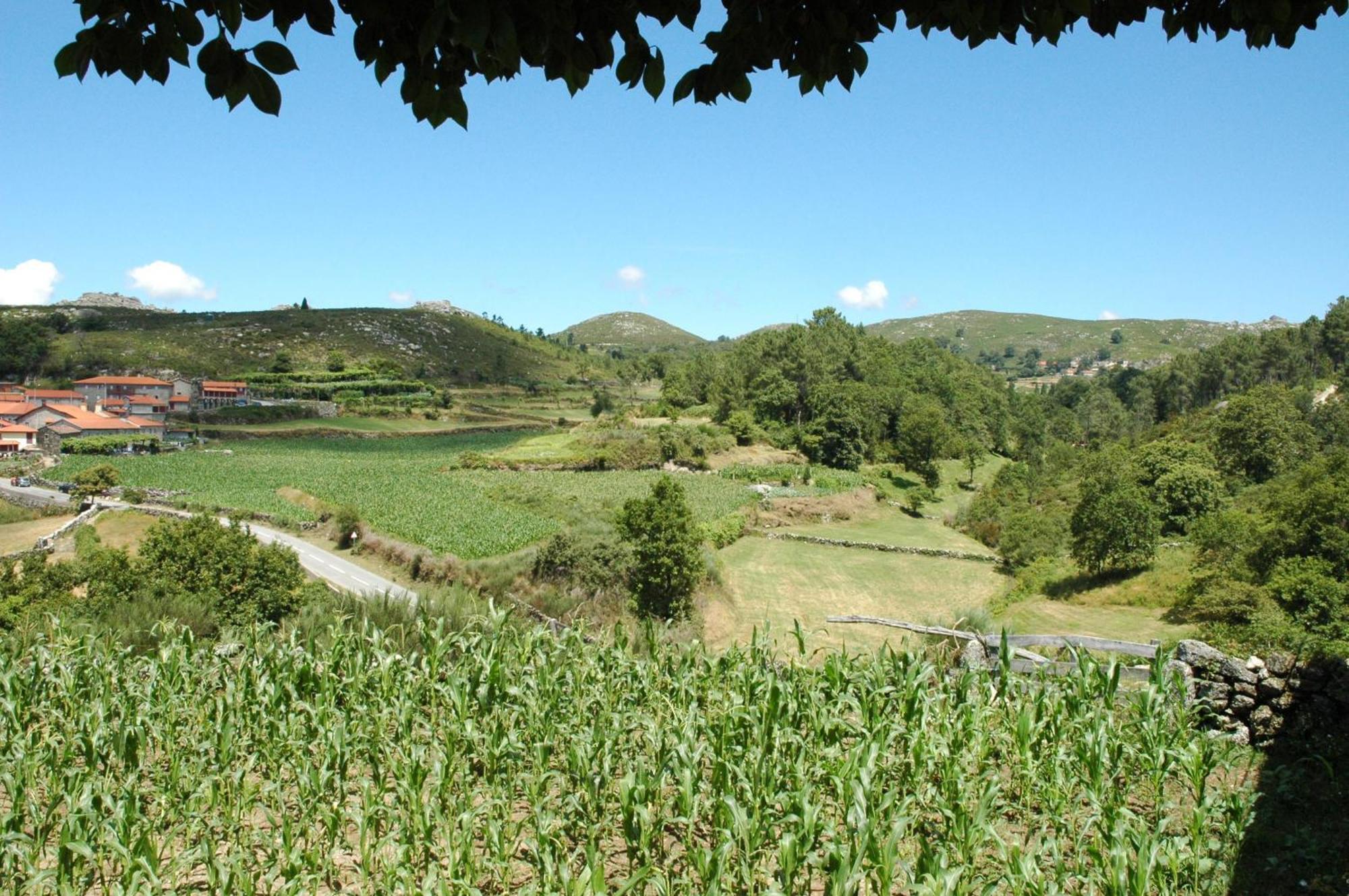 Casa De Campo Monte Abades Terras de Bouro Eksteriør bilde